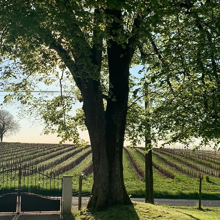 度假居 La Demeure D'ezilda Fléac-sur-Seugne