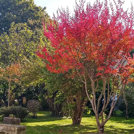 La Demeure D'ezilda * Fleac-sur-Seugne