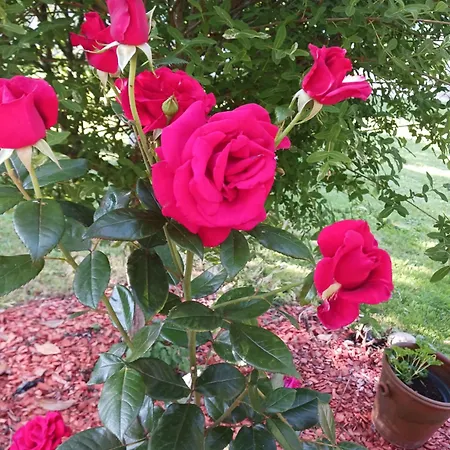 La Demeure D'ezilda 度假居